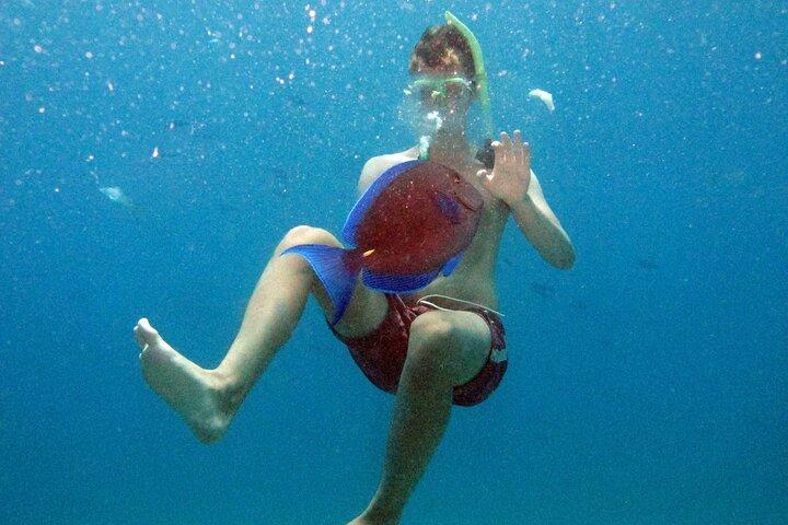 Puerto Plata Snorkeling Tour