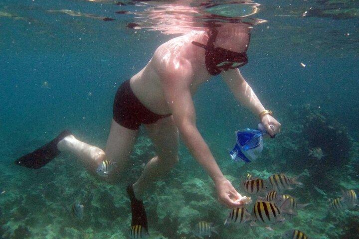 Puerto Plata Snorkeling Tour