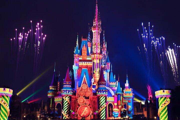 Tokyo Disneyland Ticket and Shared Transfers