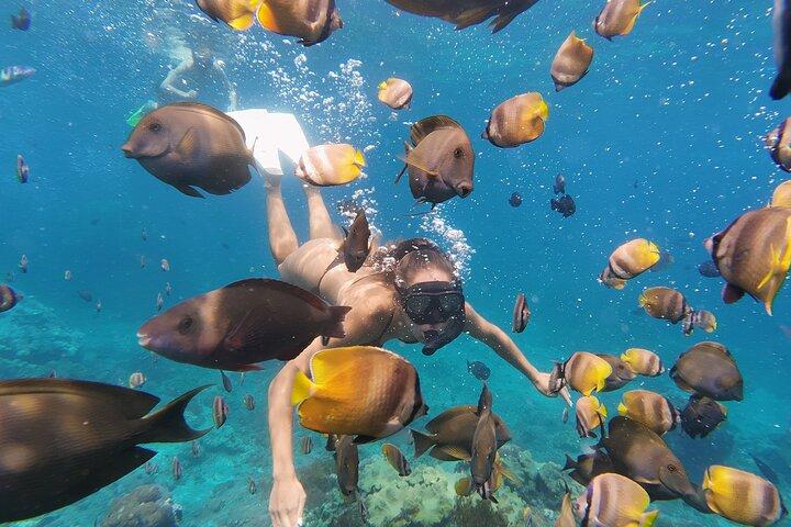 Day Tour West Nusa Penida and Snorkeling From Nusa Lembongan