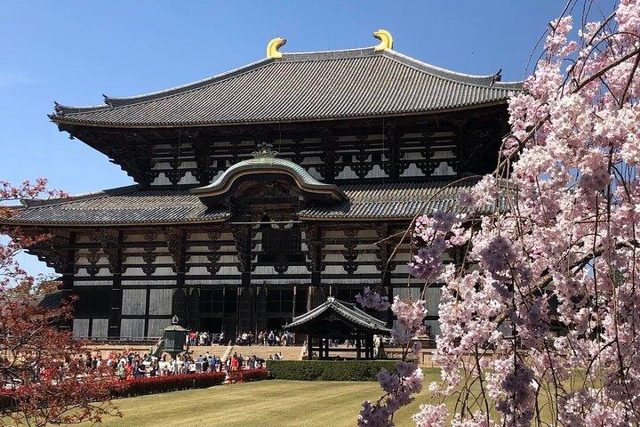 Nara, Osaka & Katsuo-ji Private Tour with English Guide & Vehicle