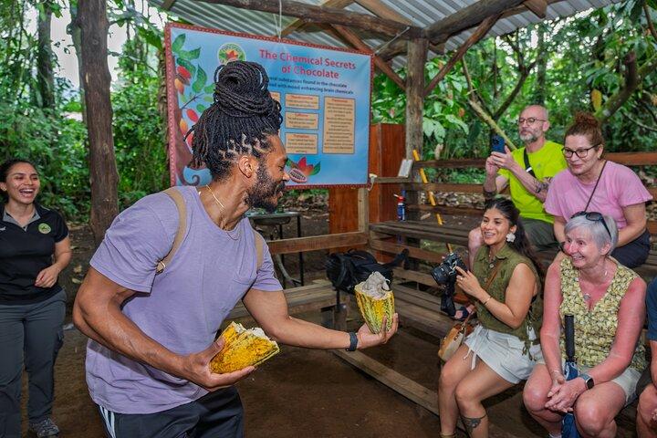 Rainforest Chocolate Tour from La Fortuna