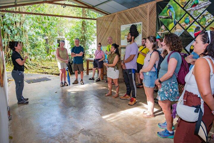 Rainforest Chocolate Tour from La Fortuna