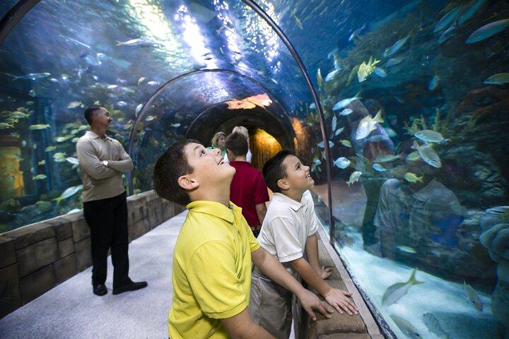 Audubon Zoo, Aquarium, and Insectarium Combo Ticket