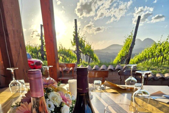Vineyard Tasting and Aperitivo Day Trip from Rome