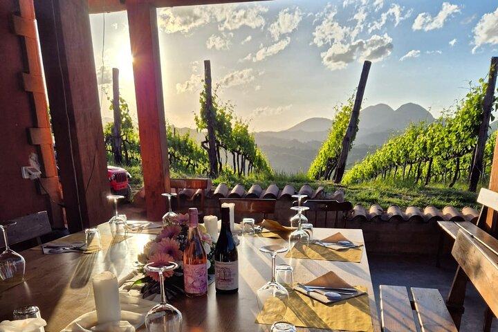 Vineyard Tasting and Aperitivo Day Trip from Rome
