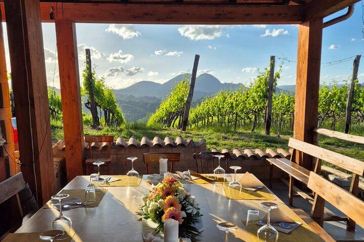 Vineyard Tasting and Aperitivo Day Trip from Rome