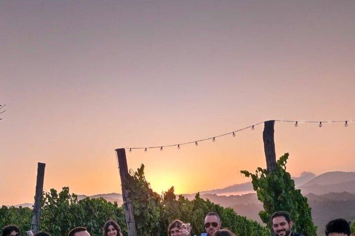 Vineyard Tasting and Aperitivo Day Trip from Rome
