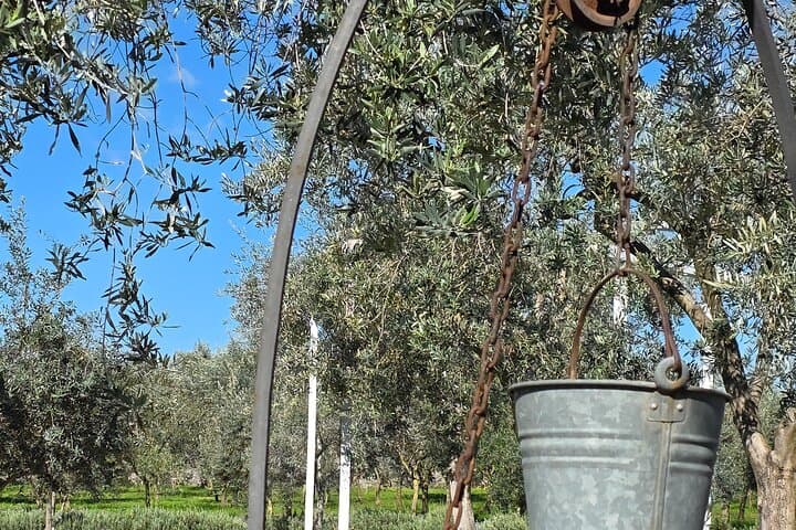 Pompeii : wine and oil tasting with aperitif on the Estate