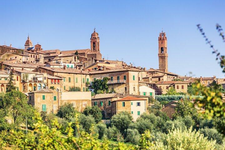 Wine Experience in Montalcino and Siena