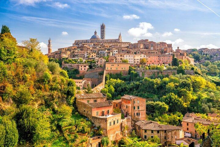 Wine Experience in Montalcino and Siena