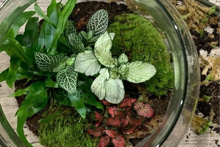 Create your Own Glass Garden Terrarium Workshop in Milan