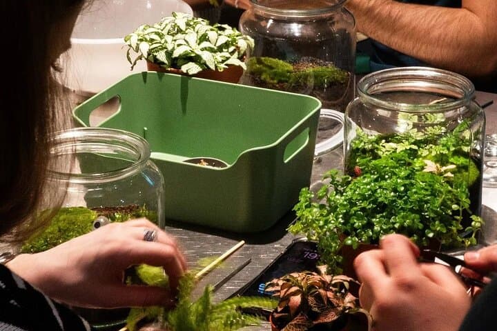 Create your Own Glass Garden Terrarium Workshop in Milan