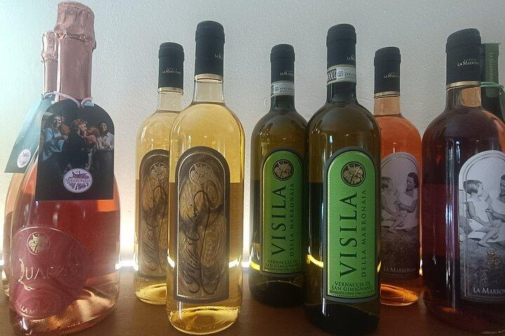 Pisa & Lucca Private Tour with wine-tasting from La Spezia Port