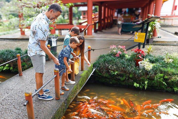Oahu: Full or Half Day Grand Circle Island Tour
