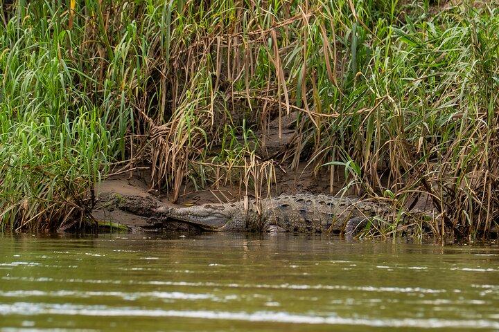 Wildlife & Nature River Safari Float on Peñas Blancas Half-Day