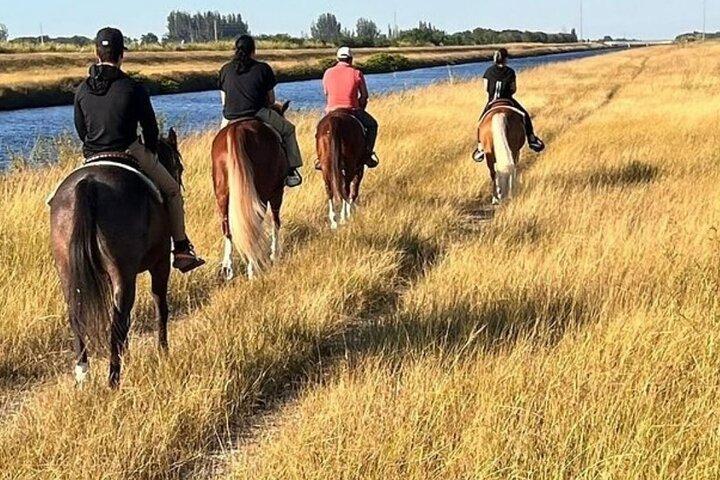 1 Hour ATV Tour & Horseback Riding Combo Experience