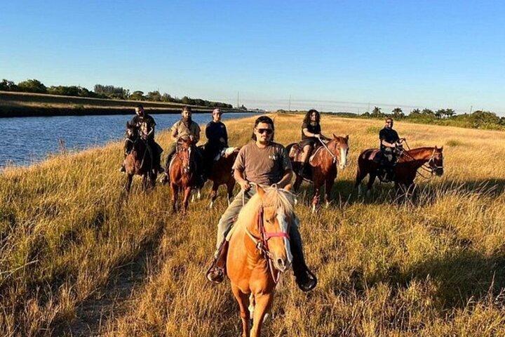 Guided Horseback Riding Adventure in Miami Countryside