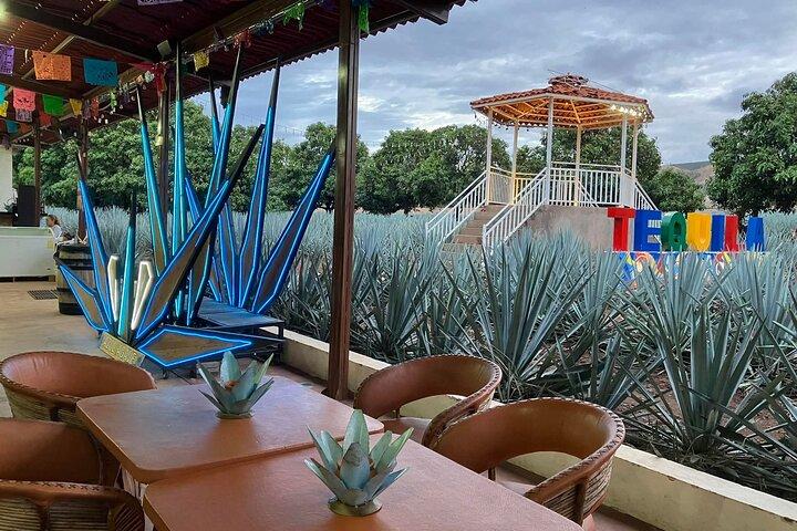 Tequila Jalisco Barrel Tour