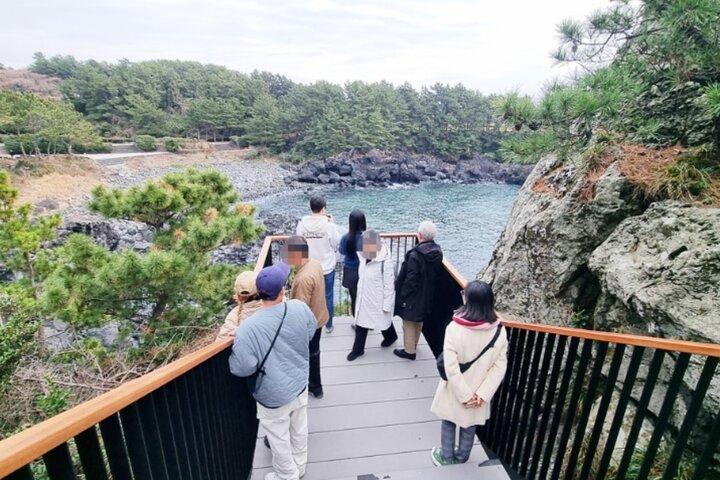 [For Cruise Guest]Jeju UNESCO Tour from Gangjeong Cruise Terminal