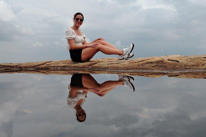 From Kandy: Sigiriya Rock & Elephant Safari Private Day Tour