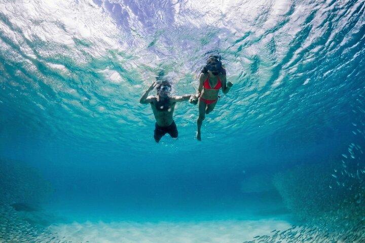 Premium Snorkel Catamaran Cruise in Los Cabos
