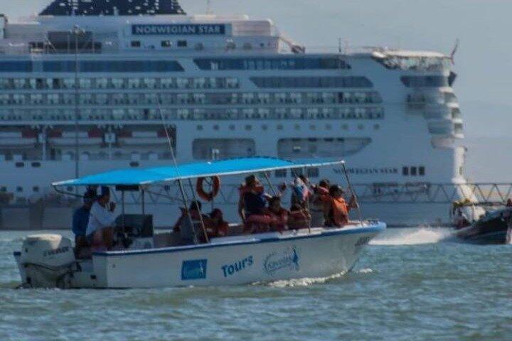 Award-Winning Turtle Island Snorkeling Tour,Marine Life & Views.