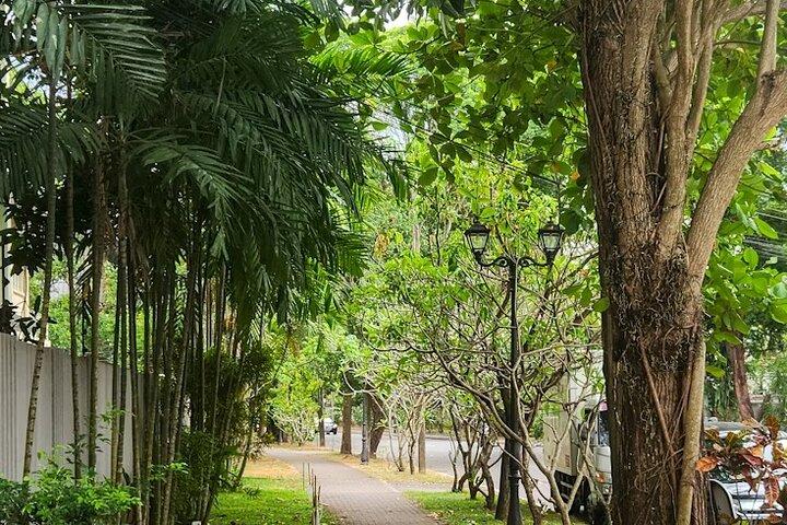 Colombo Private Walking Tour with a Local