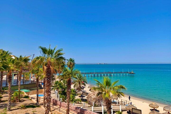 Balandra and Todos Santos Beach Tour from Los Cabos