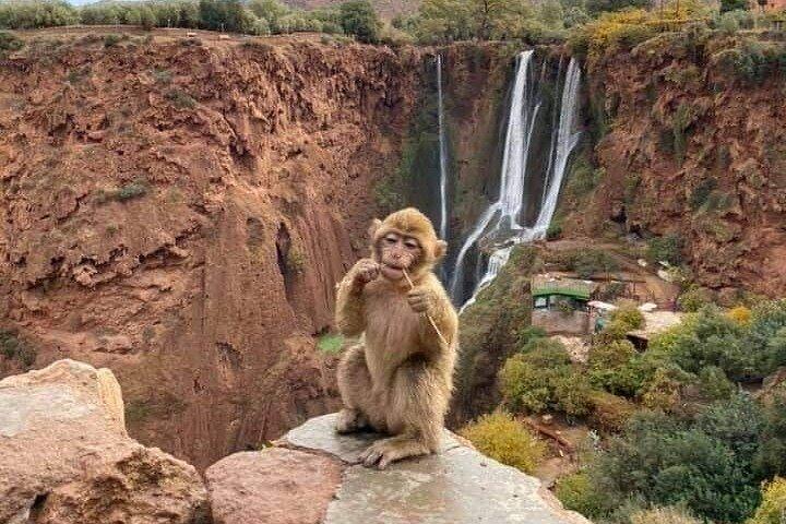 Ouzoud Waterfalls