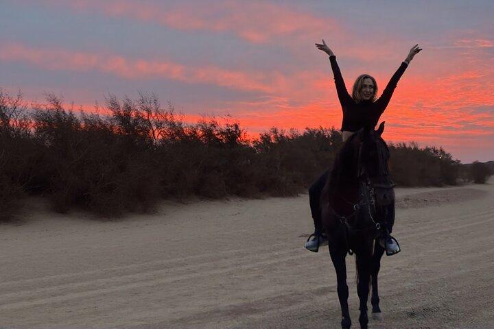 Horse Riding on Essaouira Beach Flexible Durations and Sunset