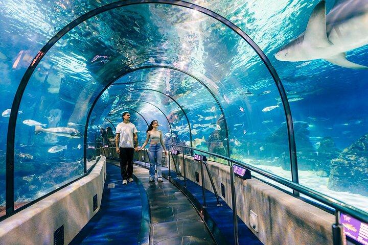 Barcelona City Tour Hop-On Hop-Off and Aquarium