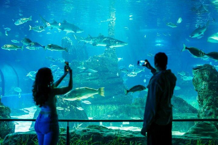 Barcelona City Tour Hop-On Hop-Off and Aquarium