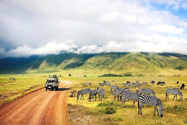 2 Day Fly In - Fly Out Zanzibar to Tarangire & Ngorongoro Safari