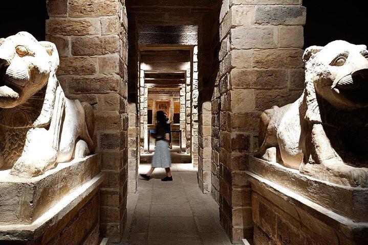 Private Alexandria Tour from Alexandria Port and Hotels