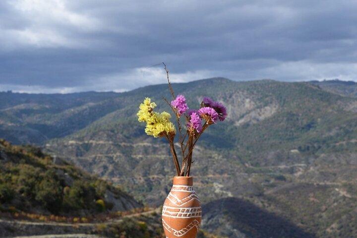 Troodos Mountain, Agros village, Roses- Wine -Nature Walk