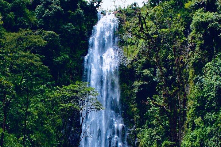 Moshi - Arusha: Materuni Waterfalls Hike and Organic Coffee Tour