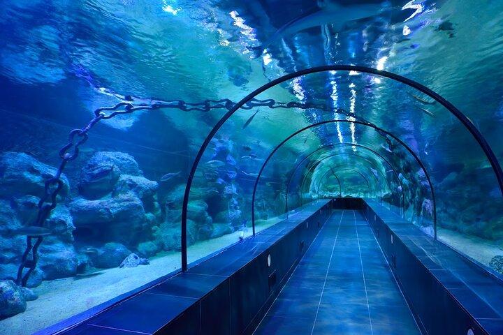 Viaport Aquarium Ticket with Optional Hotel Transfer