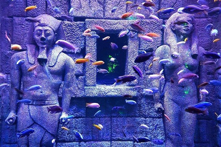 Viaport Aquarium Ticket with Optional Hotel Transfer