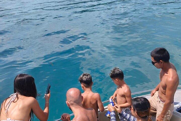 Private Speed Boat Adventure to Pig Island