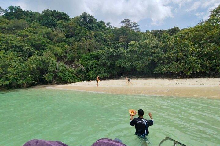 Private Speed Boat Adventure to Pig Island
