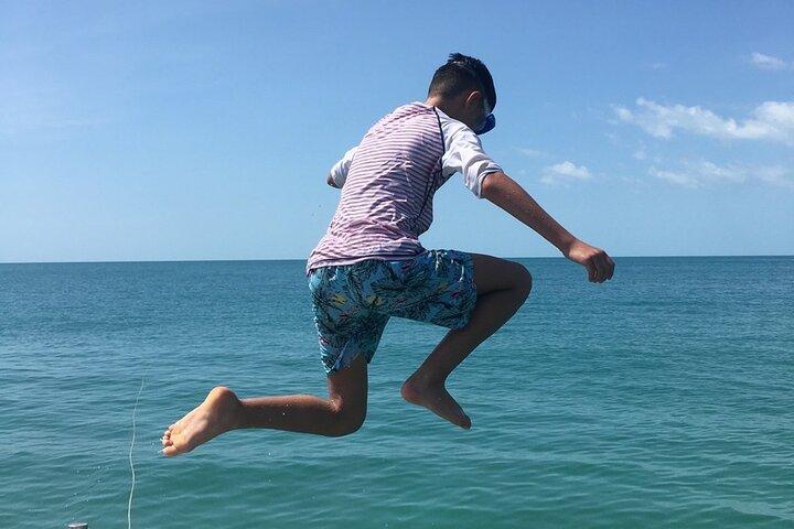 Private Speed Boat Adventure to Pig Island