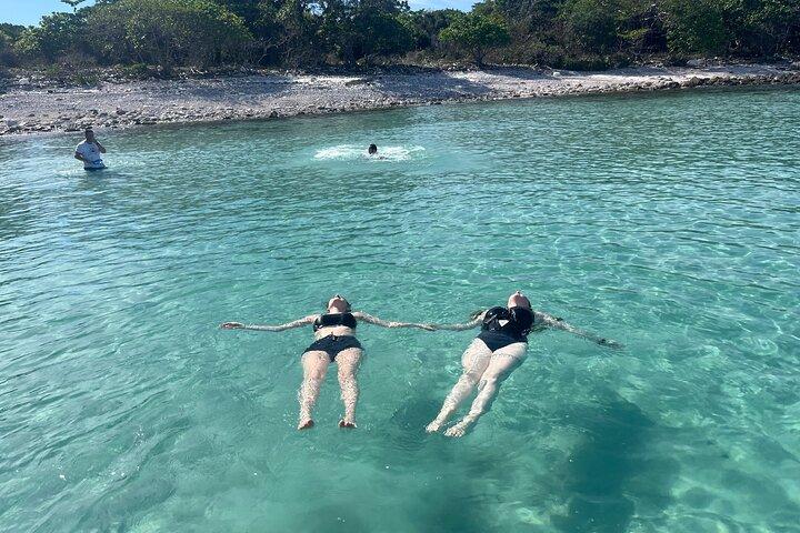 Private Speed Boat Adventure to Pig Island