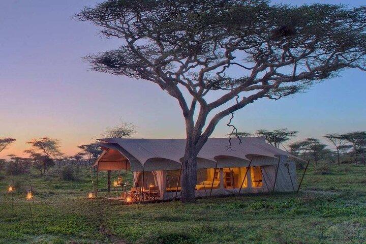 4-Day Private Fly-In Serengeti Great Migration Photo Safari