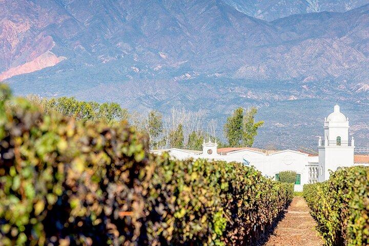 Cafayate and Wines and Calchaquís Landscapes and Valleys