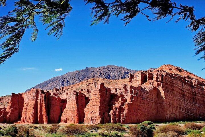 Cafayate and Wines and Calchaquís Landscapes and Valleys