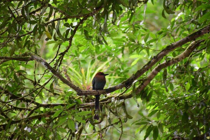 Peñas Blancas River: Wildlife Safari Experience by Raft