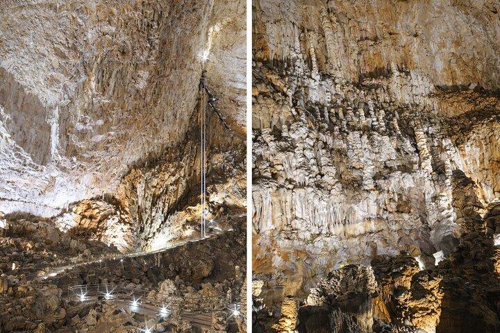 Grotta Gigante Cave and Trieste City Private Experience from Port