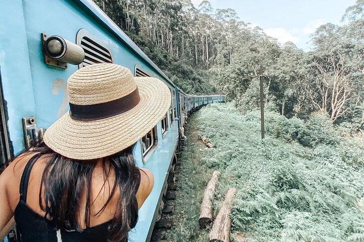 Ella to Ambewela Scenic Train Journey with Reserved Seats Ticket