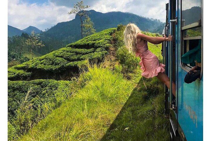 Ella to Ambewela Scenic Train Journey with Reserved Seats Ticket